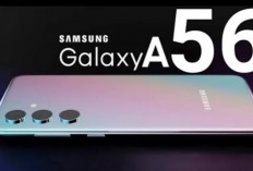 Samsung Galaxy A56 Hadir dengan Desain dan Fitur Terbaru! Harganya Cuma Segini