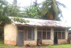 Rumah Dinas Guru Di Bengkulu Selatan Mayoritas Ditinggalkan, Anggaran Perbaikan Nihil