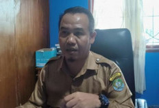 746 PPPK Paruh Waktu Isi DRH, 467 PPPK Kaur Full Time Segera Terima SK