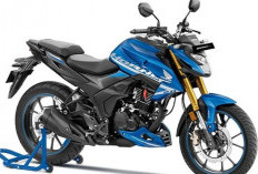 Honda Tiger Reborn Resmi Mengaspal, Tampilan Keren dan Gagah, Harga Terjangkau