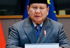 141 Tokoh Terima Tanda Kehormatan Dari Presiden Prabowo, Mulai Dari Penegak Hukum, Politisi Hingga Seniman
