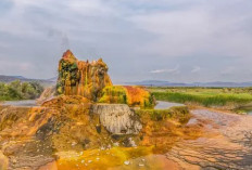 5 Fakta Unik Fly Ranch Geyser, Keajaiban Warna-warni dari Gurun Nevada yang Menakjubkan