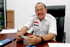 Polisi Periksa Kadis DKP Kota Usai Tabrak Warga Higgga Tewas