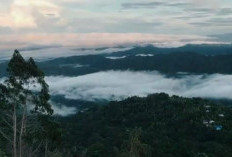 Pesona Puncak Lestari, Tempat Bersantai dan Berkemah Sejuk nan Indah di Gorontalo