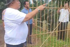 Respon Aduan Masyarakat, Bupati Tinjau Irigasi Tambangan