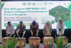 Bengkulu Terima Dana Insentif Karbon Untuk Pemulihan Hutan