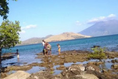 Pantai Lewolein Destinasi Wisata Menarik Di Lembata, Masih banyak Ditemukan Ikan DUyung