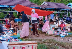 Dinas Perikanan Kaur Ajak Masyarakat Konsumsi Hasil Perikanan