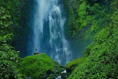 Sisi Lain Air Terjun Pancaro Rayo di Jambi, Pemandangan Yang Indah Dan Kisah 7 Bidadari