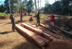 Material Kayu Pembangunan Jembatan Program TMMD Tiba di Lokasi