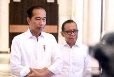 Presiden Jokowi Mulai Sering Berkantor di IKN, 12 Agustus Gelar Sidang Kabinet