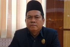 Kendaraan Dinas Harus Ditertibkan, Keberadaan dan Peruntukkan Harus Jelas
