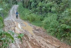 Warga Desa Cinto Mandi Terus Harapkan Jalan Mulus