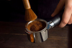 Ampas Kopi Baiknya Jangan Dibuang, Ini 7 Manfaatnya untuk Dapur dan Rumah