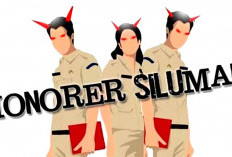 Waduh! Inspektorat Temukan Tenaga Honorer Siluman Lulus Seleksi PPPK Tahap I 