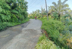 Sepanjang 8 KM Jalan Pagar Gading-Simpang Pino Rusak Parah