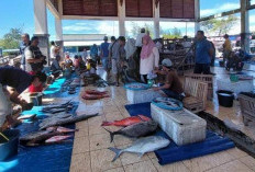 Nelayan Pasar Bawah Mengeluh Tangkapan Ikan Menurun Drastis