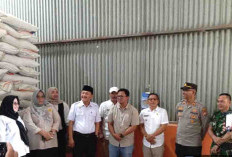 Pemerintah Salurkan 336 Ribu Kg Beras untuk Masyarakat Bengkulu Selatan