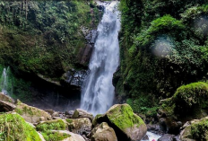 Keindahan Air Terjun Kedung Kedung Sawang di Magelang, Airnya Jernih Pemandangan Sekitar memanjakan Mata