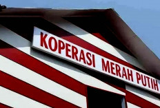 Catat! Kepesertaan Koperasi Merah Putih Tidak Terikat Domisili