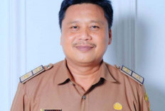 DPMPTSP Kaur Siapkan Pendampingan untuk Pengusaha Yang Ingin Urus NIB