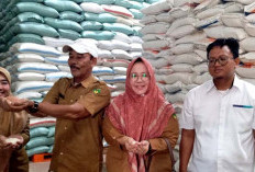 DKP Bengkulu Selatan Pantau Kualitas Beras Bapang Sebelum Disalurkan