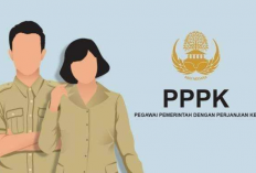 Masih Mau Jadi PPPK Paruh Waktu, Ini Syarat, Jabatan Hingga Gaji Yang Akan Didapat