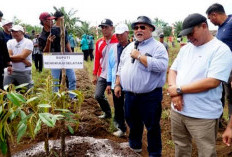 Bupati Bengkulu Selatan dan Wakilnya, Launching Tanam Durian 