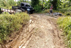 Rusak Parah, Petani Binjai Jaya Berharap Pemerintah Rejab JSP