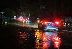 4 Titik Jalinbar dan Pemukiman Warga di Seluma Terendam Banjir 