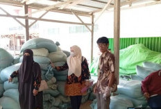 Pastikan Ketersediaan Stok Cadangan Pangan, DKP Bengkulu Selatan Pantau Ke Lapangan