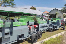 Kaur Evaluasi Penggunaan Alsintan Tuk Tingkatkan Produktivitas Pertanian