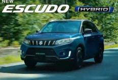 BOCOR‼ Suzuki Hidupkan Kembali Escudo, SUV Modern Super Irit dengan Harga Mengejutkan! Setara Brio!
