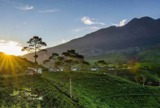 Desa Sumber Brantas, Surga Tersembunyi di Lereng Gunung Arjuno