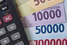 Gaji Petugas Kebersihan Tersendat, Ini Penjelasan Manajemen RSHD Manna