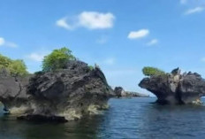 Daya Tarik Pulau Bawean, Surga Tersembunyi di Gresik, Saingan Raja Ampat