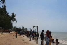 Pantai Kelapa, Ikon Wisata Tuban, Rute dan Aktivitas Menarik