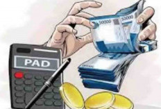 Capaian PAD Bengkulu Selatan di Semester Pertama Capai Rp18,6 Miliar, Ini Sektor Penyumbang Terbesar