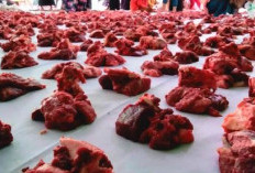 Cara Membagi Daging Kurban Menurit 4 Madzab yang Bisa Jadi Pedoman Umat Islam, Nomor 1 Paling Banyak Dipakai