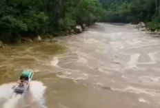 Urat Nadi Kehidupan, Ini Daftar 7 Sungai Terpanjang Di Indonesia Memberi Banyak Manfaat