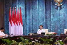 Jokowi Gelar Sidang Kabinet Paripurna Terakhir di IKN Pada 12 September