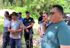Upayakan Perbaikan, Bupati Rifai Tinjau Jembatan Terbengkalai di Desa Suka Maju