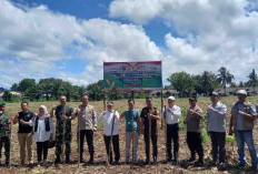 Polres Bengkulu Selatan Tanam Jagung Kuartal ke IV di Lahan 1 Hektar untuk Dukung Ketahanan Pangan Nasional