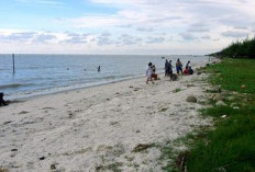  Pantai Putra Deli, Pasir Putih dan Laut Biru yang Memikat, Cocok Untuk Tempat Bersantai Bersama Keluarga