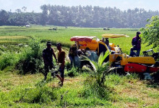 Ciptakan Swasembada Pangan Berkelanjutan, TNI Dampingi Petani