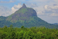 Bukit Tunjuk, Keunikan Alam Di Lahat Sumatera Selatan, Dijamin Tak Ada Ditempat Lain