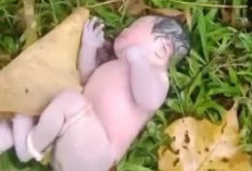 Bayi Perempuan Masih Terlilit Tali Pusar Ditemukan Di Bawah Jemabatan Padang guci Kaur!