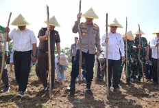 Dukung Ketahanan Pangan Nasional, Polres Bengkulu Selatan Sulap Lahan Seluas 10 Ha Jadi Kebun Jagung