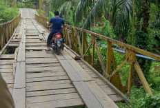Ancam Keselamatan Warga, Jembatan Sebilo Butuh Perhatian Pemerintah