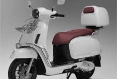 Honda Motor Semakin Agresif, Hadirkan Skutik Retro Modern, Kini Luncurkan NWF125